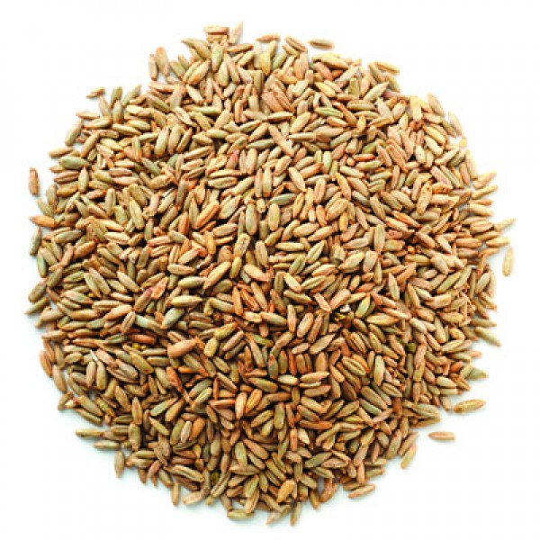 Seigle Grains Entiers Bio 100g